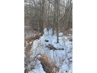 Property photo 43 - FARMLAND AUCTION, 60+/- Acres in 6 Tracts ranging from 4 to 20 acres & in combinations!
